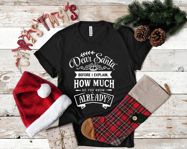 Dear Santa Before I Explain Funny Christmas Tshirt - little crafty souls