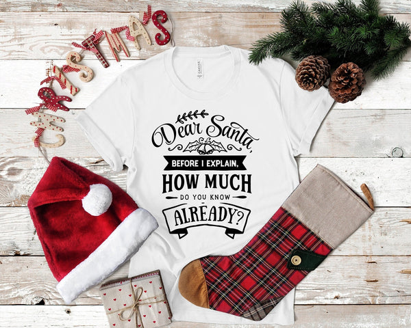 Dear Santa Before I Explain Funny Christmas Tshirt - little crafty souls