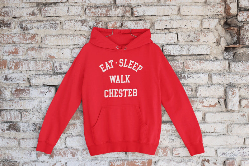 Eat Sleep Walk Dog Hoodie, Personalised Dog Walking Hoodie, Custom Dog Lover Hoodie, Dog Walking Hoodie, Funny Dog Hoodie, Personalised Pet - little crafty souls