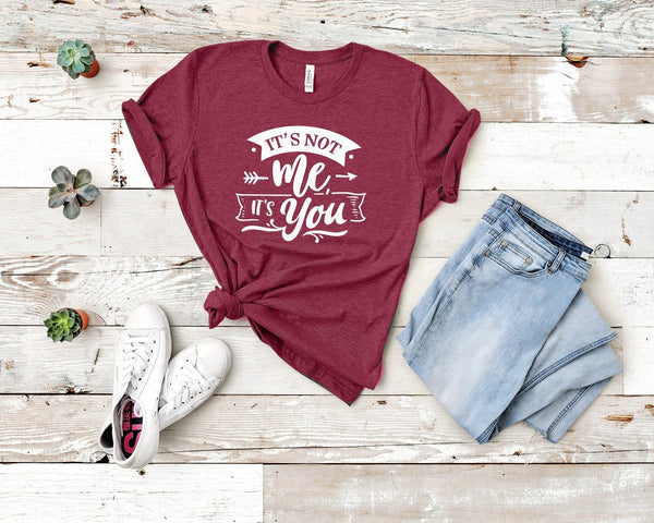 It'S Not Me It'S You Tshirt - little crafty souls